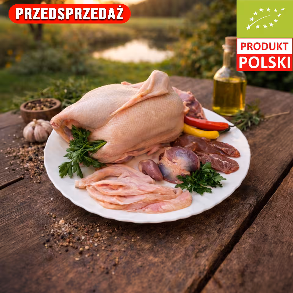 Kaczka EKO
