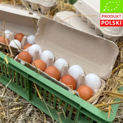 Jaja kurze ekologiczne