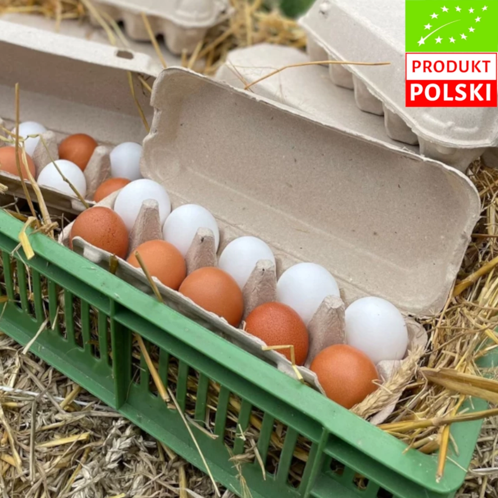 Jaja kurze ekologiczne