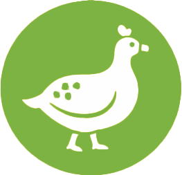 Perliczka Pastwiskowa