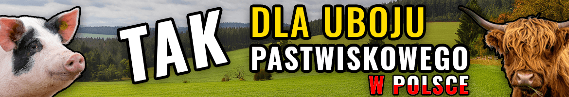 Podpisz petycję – ubój pastwiskowy w Polsce