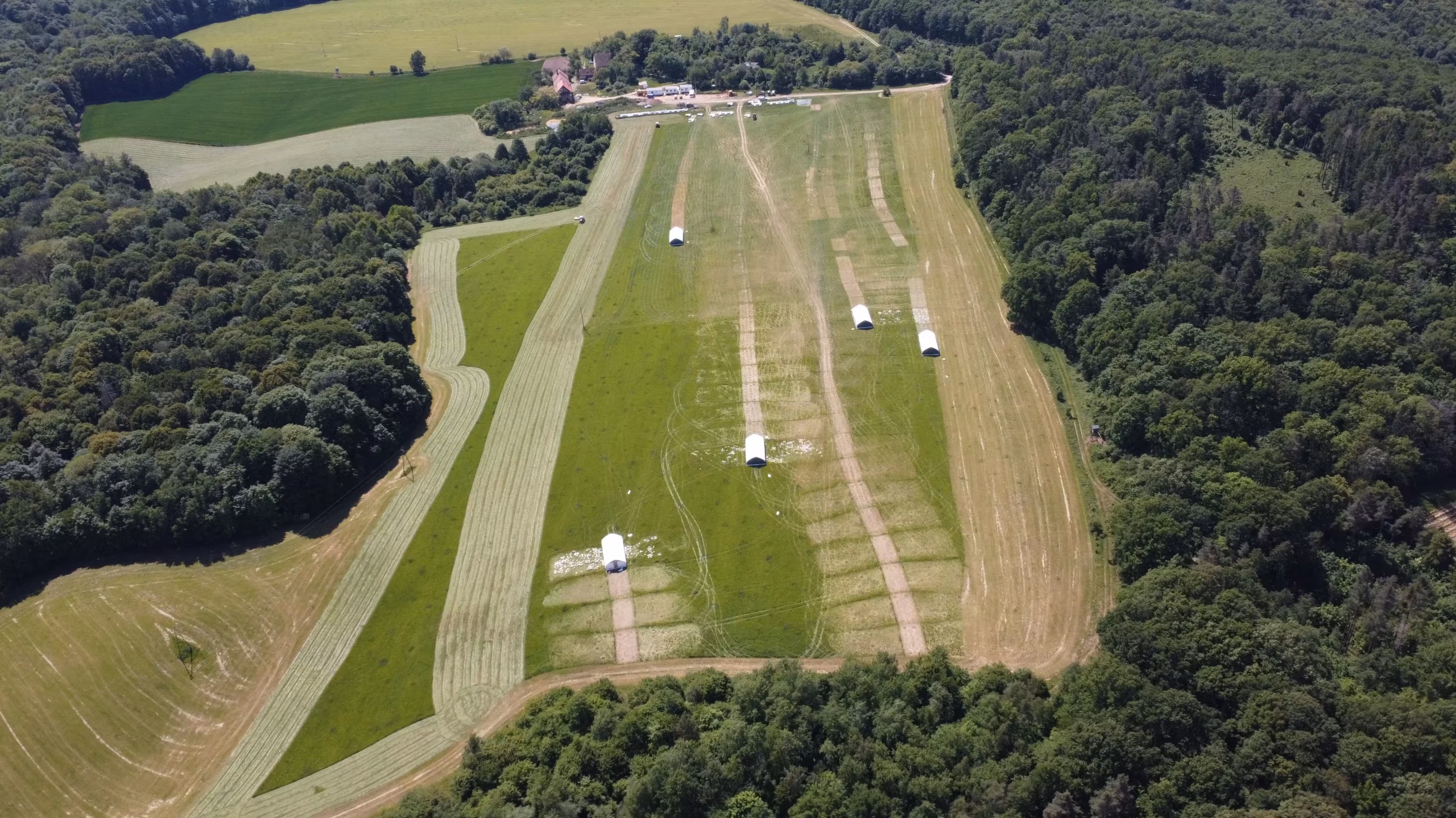 Pastwiska ekologiczne kurczaka pastwiskowego – Nowolesie, Dolny Śląsk