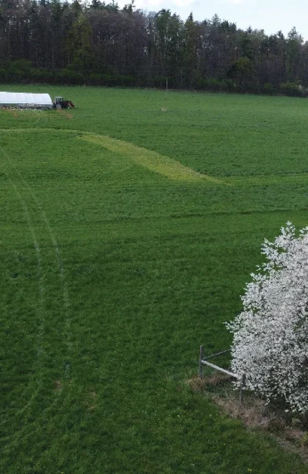 gospodarstwo-ekologiczne-1